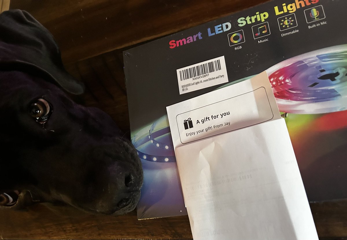 Rosey Herrada tweet media