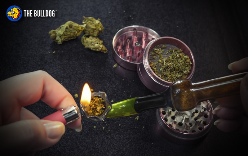 🌱 Cannabis at Your Fingertips 🍃
Explore a world of cannabis products, from accessories to merchandise, right at your fingertips. Join us to browse through our selection and elevate your cannabis experience. #Cannabis #Weedbarcelona #CannabisSocialClubBarcelona #Coffeeshop