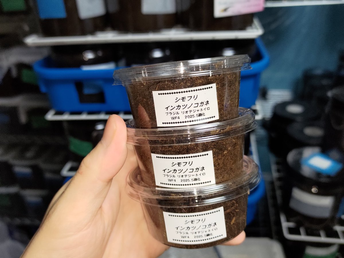 ☻かんまぼ☻ リクエスト商品おまとめ kikyo(祈京)@Geeks on X: