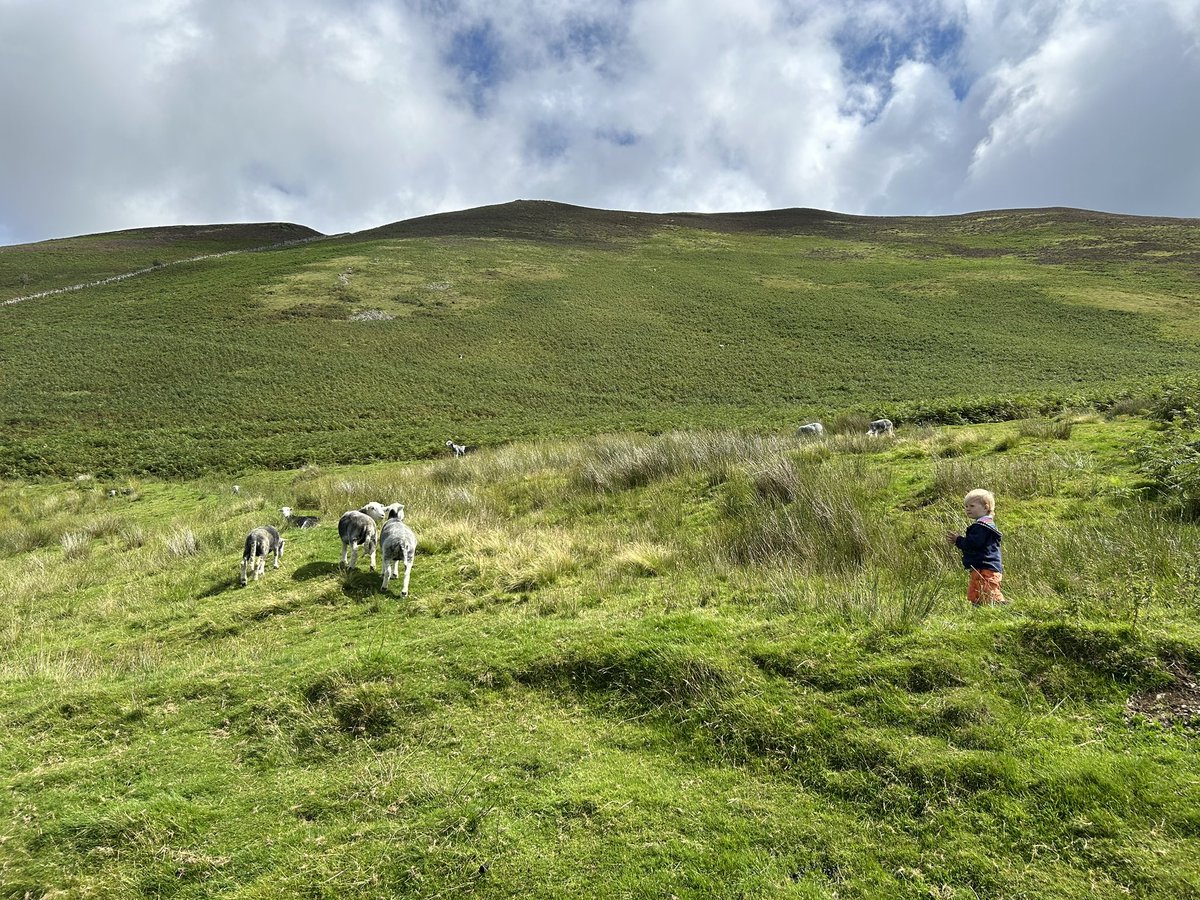 Today’s adventures