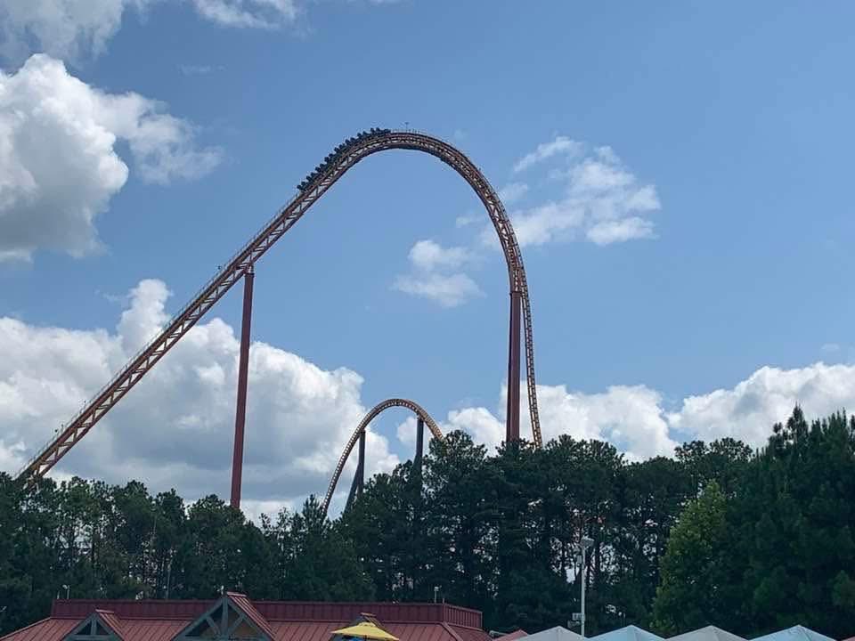 KDFanatics75's tweet photo. WAKE UP MA THE JUNGLE CAT IS ALIVE! ITS LIKE THERE WERE HINTS
Good morning Pantherian!
📸: Jonathan Simpson
#CatWatch #Pantherian #KingsDominion #KDFanatics #KingsDominionFanatics https://t.co/UBsikYiXby