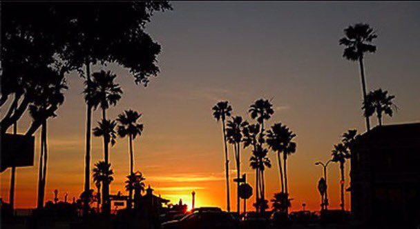 Les RV de ce dimanche soir 03 août 2025 sur RTL :
📌22h #BeachParty depuis Catalina Island au large de Long Beach 20 titres des 60’s, de Buddy Holly aux Ronettes.
📌23h #NashvilleSummertime 16 titres, 15 country-classics et  un Power-Play avec Molly Tuttle et "The Highway Knows".