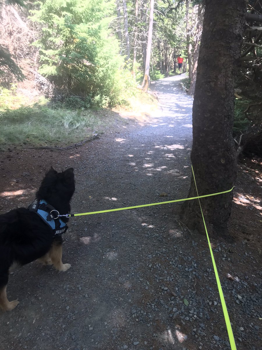 Excuse me ☝️ Mister but can ya help a dog out my human is #WhatTheFluff broke again and I’m in a bit of a jam