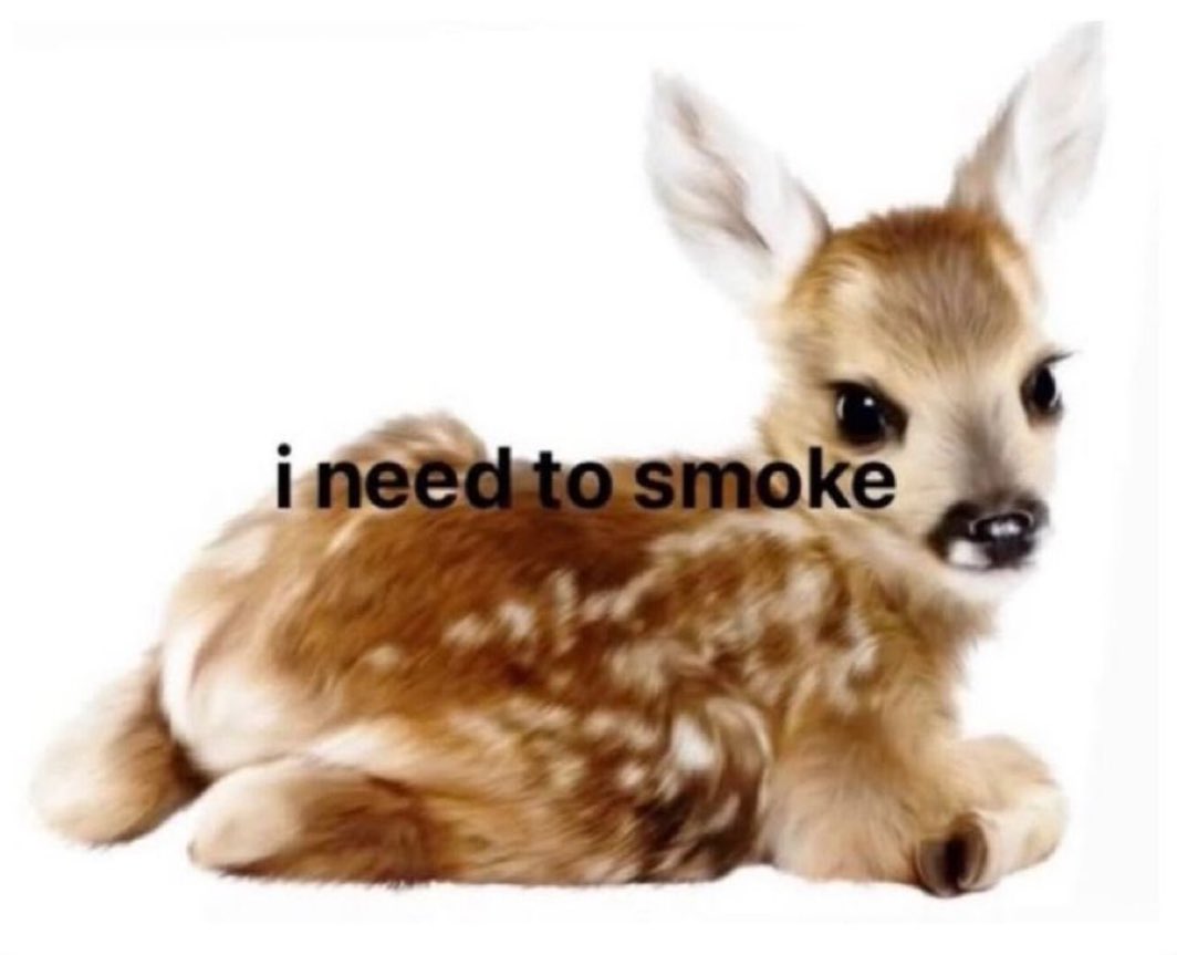 budlaughs (@budlaughs) on Twitter photo 