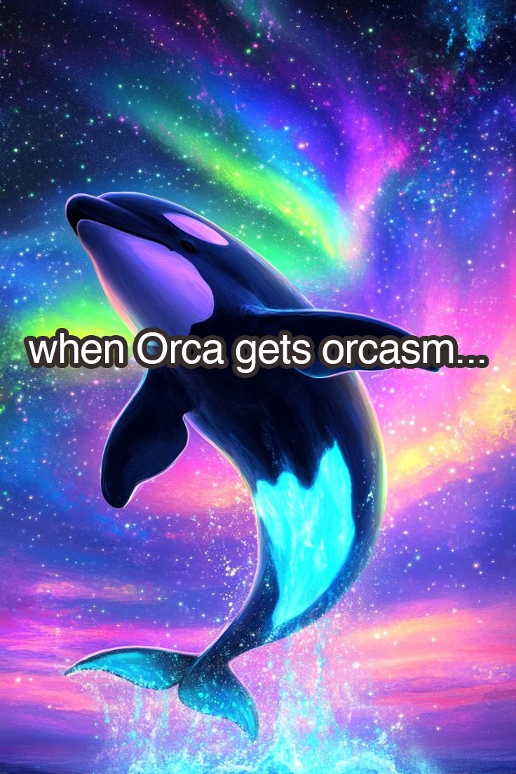 TraderGodson's tweet image. Buy before the moon way start

#orcasm the big wave on the break 

Don&apos;t miss this guys 

Let&apos;s gooooo be #orcasmic 

LFG @orcasm_sol 🚀🚀🚀🚀🚀🚀🚀🚀🚀🚀🚀🚀🚀🚀🚀🚀🚀🚀