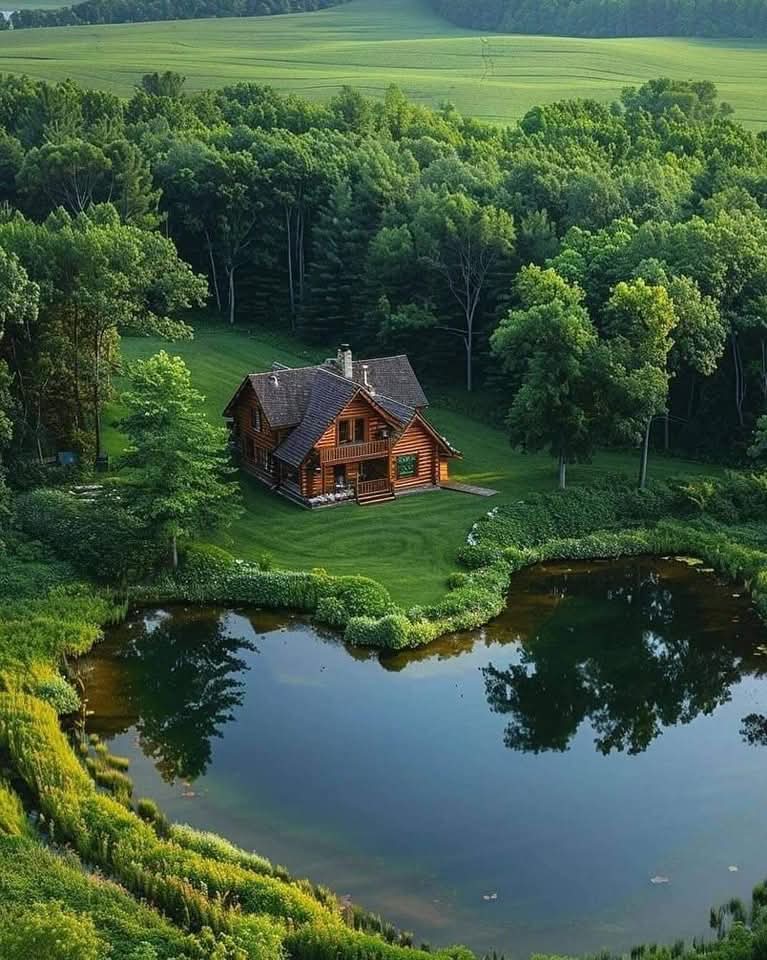 Ma conception du paradis sur terre 🏡🌿💚