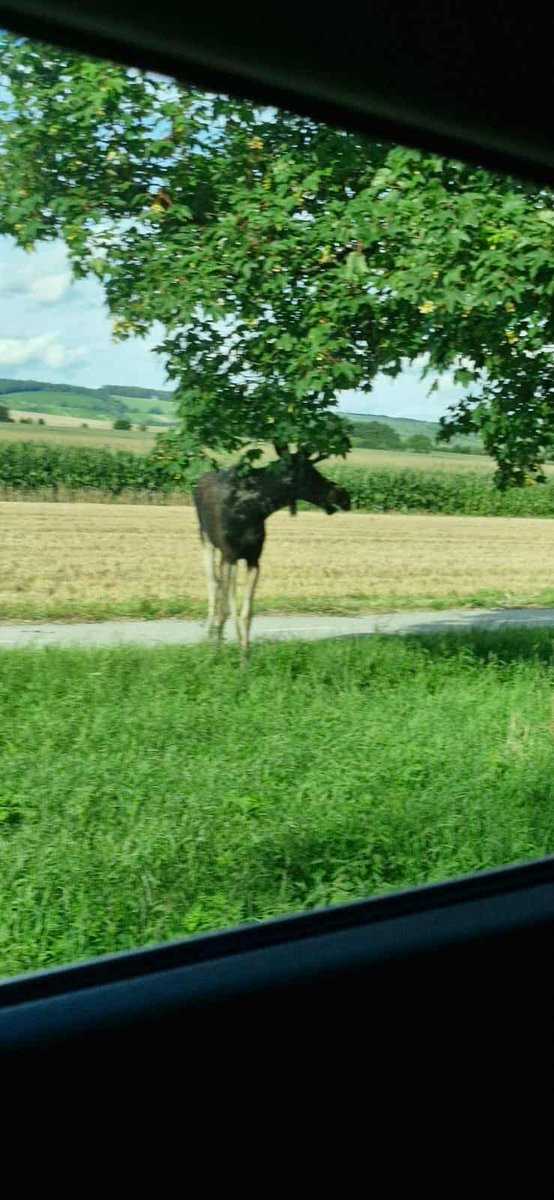 iRozhlas.cz jižní a východní Morava tweet media