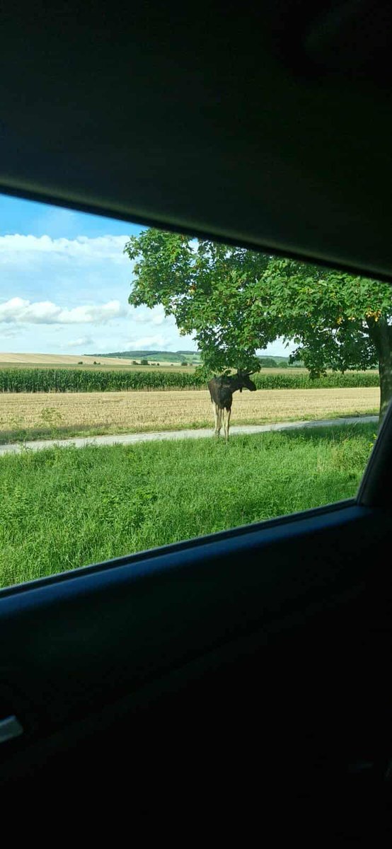 iRozhlas.cz jižní a východní Morava tweet media