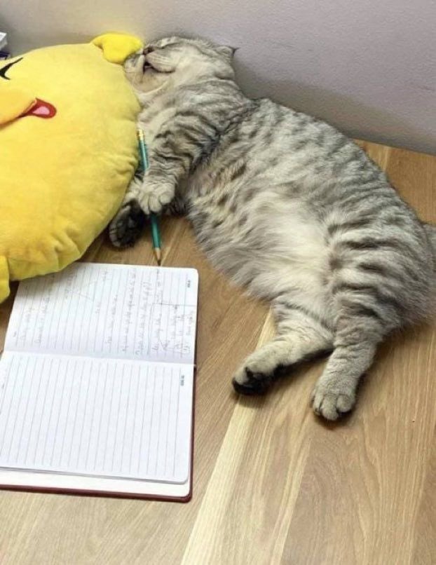 Super tired 😪