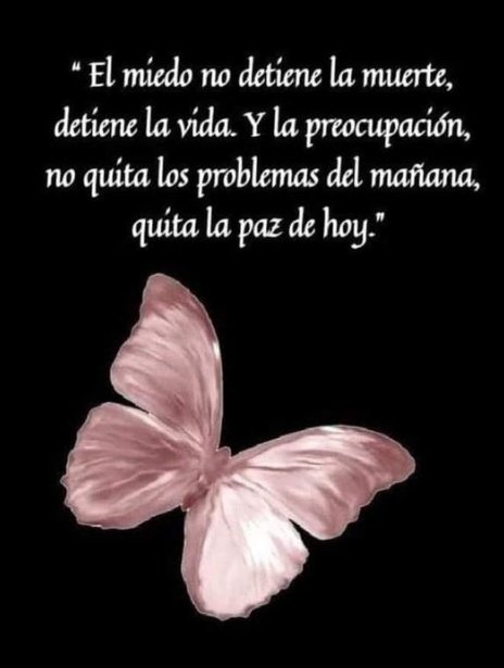 <a href="/Iria_Celta/">Iria🌸</a> <a href="/KaladanBCN/">💦🌊💙⚖️💦🌊💙⚖️💦🌊💙⚖️</a> <a href="/arancha2458/">Arancha</a> <a href="/tuneadora432/">Santa Paciencia</a> <a href="/sonajitaplatea/">sonajita</a> <a href="/campoy64160/">caballa 🌊💙💦</a> <a href="/macasaga2/">M.Carmen 💛🤗🍀</a> <a href="/Justicia006/">Justicia</a> <a href="/Lanzar25/">Lanza</a> <a href="/2815_Estherly/">EsThe👠</a> <a href="/cutilla55/">m c</a> <a href="/elsa09164082/">elsa</a> <a href="/NT83631763/">N. T</a> <a href="/macasaga1/">MªCarmen 🫂⚖️🥰</a> <a href="/America6006/">America</a> <a href="/mychurry56699/">@MyChur👠y</a> <a href="/Girasol2031449/">Girasol</a> <a href="/AsomadaAlEspejo/">Espejo Azul</a> <a href="/Mariska__6/">Mariska 😎🤍🍀</a> <a href="/MujerOasis/">Oasis</a> <a href="/Gloria26326305/">GLORIA 💙</a> <a href="/Mari777Bel/">MARIBEL 🦋🦋☘️🦋🦋</a> <a href="/Marimar66842849/">Marimar</a> <a href="/1528_elviri/">Elv I🎗️a</a> <a href="/Azucena412130/">Azucena</a> <a href="/slona6216/">Slona</a> <a href="/Objetiva24/">Objetiva</a> <a href="/Rogelia50318250/">Rogelia</a> <a href="/FuerzaMareaAzul/">LaMareaNoSeRinde</a> <a href="/mmloopez/">Maribel Márquez López</a> <a href="/TalVez57/">Siempre</a> <a href="/Azul_MAR0050/">A z U l M a R 💫⭐️💫</a> <a href="/JulietaSer66074/">Julieta Serrano</a> <a href="/AlexandraEsAzul/">Alexandra</a> <a href="/DylaneAzul/">Dylane</a> <a href="/Manolito0003/">Manolito</a> <a href="/PaulaOA03/">Paula</a> <a href="/AnaMemi29/">Any Marea Azul 💙💙💙🌊🌊🌊</a> <a href="/Luisa43833694/">EN💙CONTRA💦DE💙LAS💦INJUSTICIAS</a> <a href="/Lirio74056/">Lirio</a> <a href="/Hortensia380668/">Hortensia</a> #YoMeRebelo3A 💦   🌊
#YoMeRebelo4A 💙  💙
𝘈𝘲𝘶í 𝘴𝘪𝘨𝘰 𝘺 𝘴𝘦𝘨𝘶𝘪𝘳é 𝘩𝘢𝘴𝘵𝘢 𝘦𝘭 𝘧𝘪𝘯𝘢𝘭, 𝘱𝘰𝘳 𝘭𝘢 𝘮𝘪𝘴𝘮𝘢 𝘤𝘢𝘶𝘴𝘢 𝘺 𝘢𝘱𝘰𝘺𝘰 𝘲𝘶𝘦 𝘪𝘯𝘪𝘤𝘪é. 𝘚𝘪𝘯 𝘣𝘢𝘯𝘥𝘢𝘻𝘰𝘴, 𝘰𝘥𝘪𝘰𝘴, 𝘷𝘦𝘯𝘨𝘢𝘯𝘻𝘢𝘴....