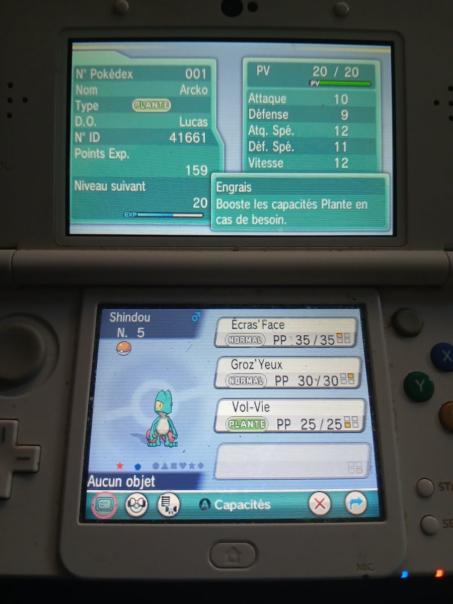 [242✨, SQRO#1] Un shiny quest qu'aura bien pris son temps pour démarrer avec ce magnifique arcko au bout de 15471 resets, j'ai totalement loupé l'apparition car j'étais trop concentré sur mon énième revisionnage du film Inazuma Go mais c'est pas grave, enfin il est la