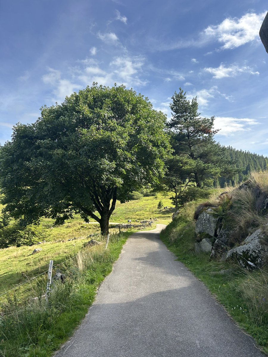 Louise 🌾 tweet media