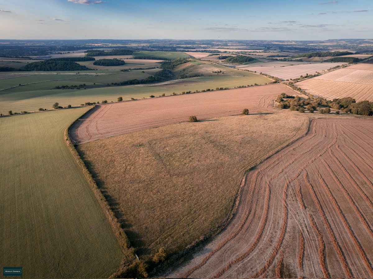 The outline of the Roman enclosure on Lowbury Hill, just above The Ridgeway.