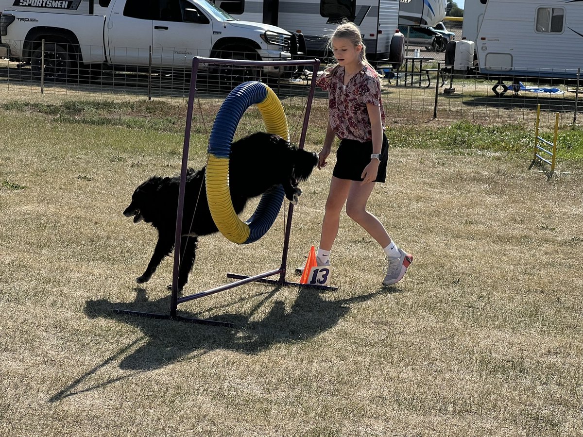 Scenes from opening weekend of the San Luis Valley Fair, offering the best in the Valley’s 4-H world. #SanLuisValley #Colorado