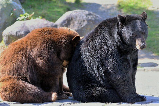 you are not chopped
you are not ugly
you are not stupid
you are beautiful
you are smart
you are amazing