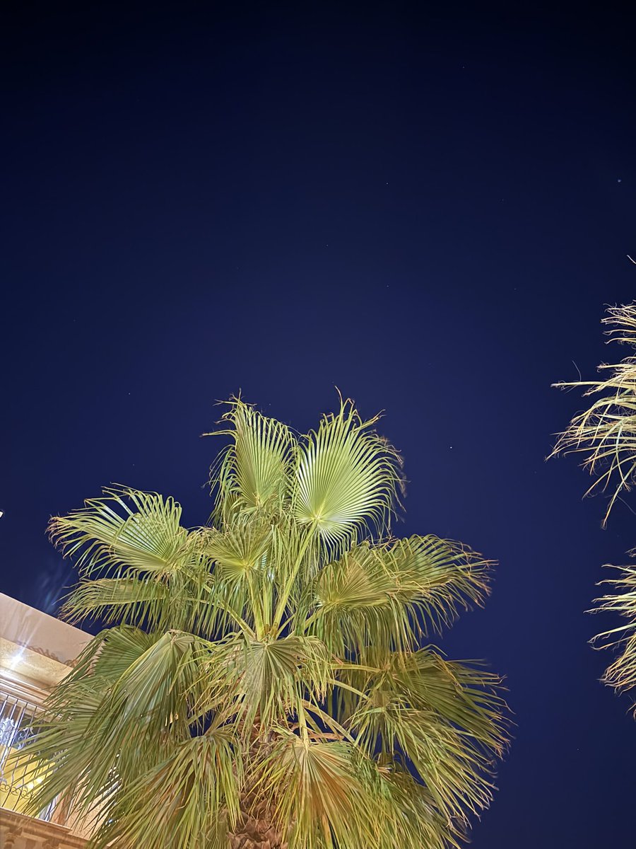 shutterr17's tweet image. بدر ليل الصيف بين واستدار 
وليل نجدٍ بالحلاوه يستزيد