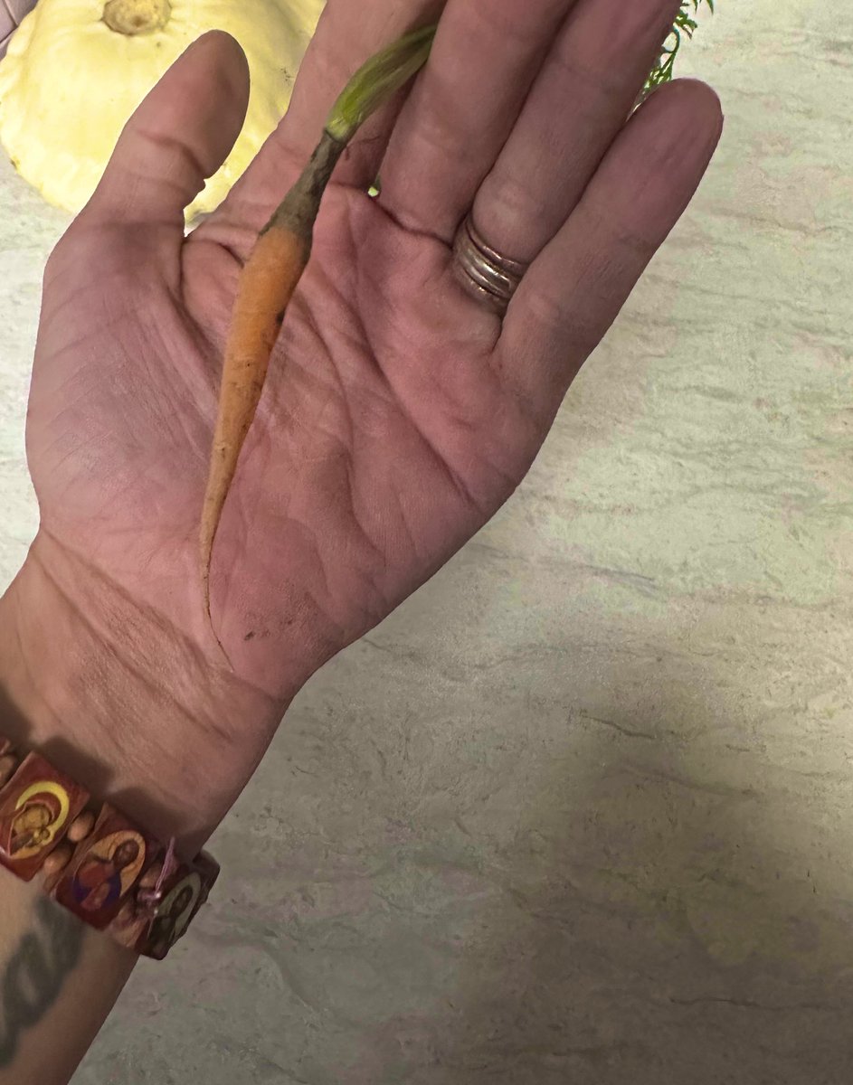 moon ☻ tweet media