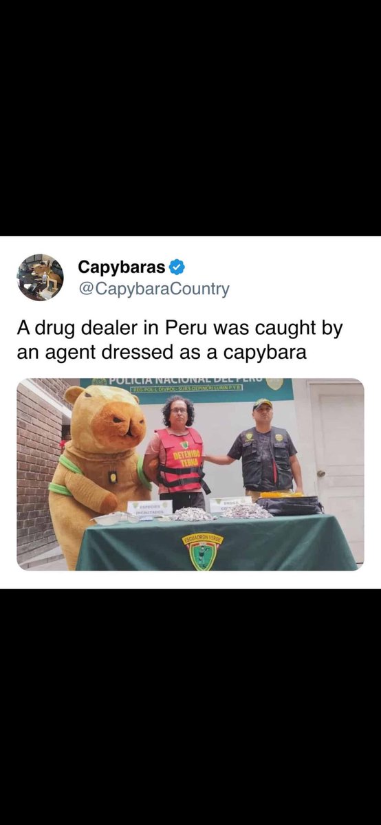 True story (not a meme or Photoshopped). In Peru, police from a specialized anti‑drug unit (known as the Escuadrón Verde, part of the National Police’s “Terna” team) conducted a Valentine’s Day raid while one officer wore a capybara costume as a gift‑delivery disguise.
