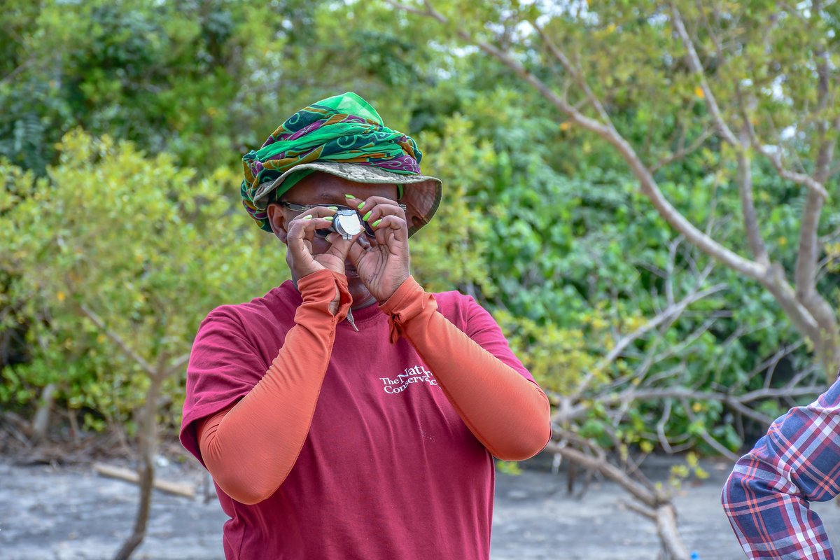 True restoration happens when it’s done right. 
In Tana, CBEMR-trained experts are sharing knowledge and leading hands-on mangrove restoration, turning training into transformation. 
This is regeneration with purpose.
#CBEMR #MangroveRestoration #NatureBasedSolutions #TanaRiver.