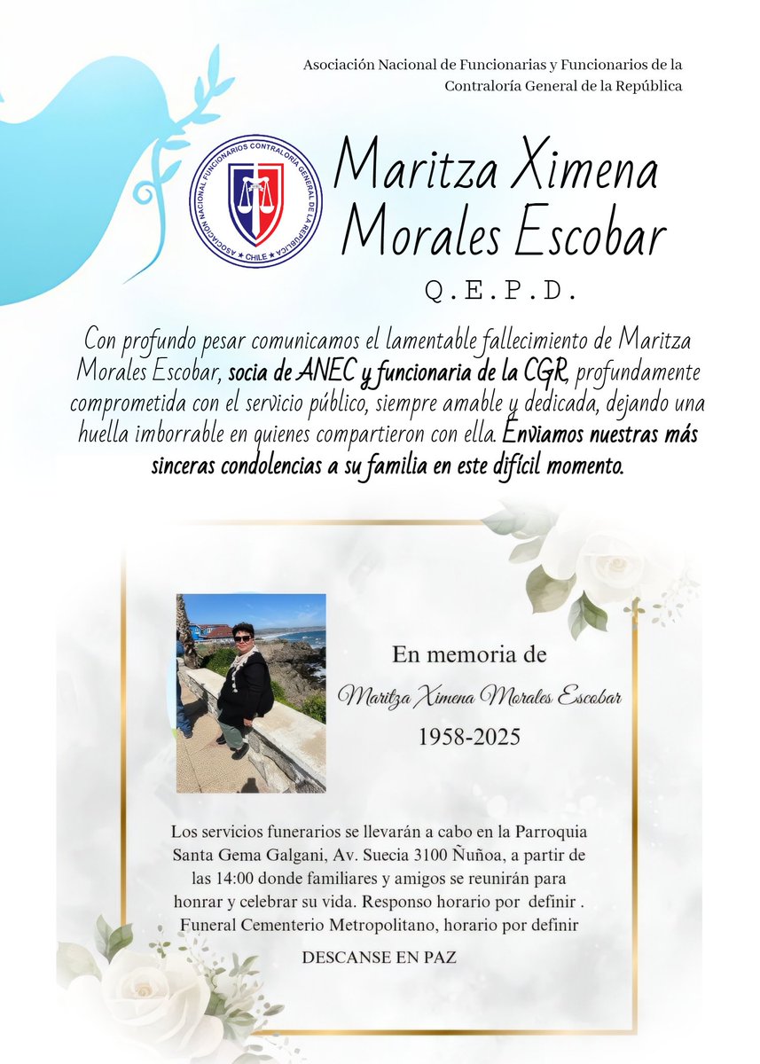 ANEC (@anec_chile) on Twitter photo 