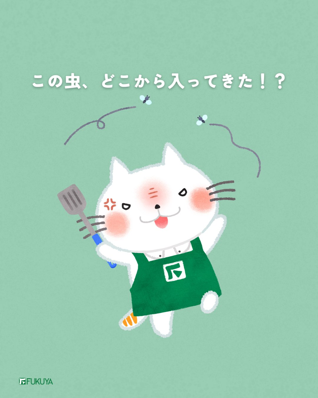 ふくにゃん｜福屋不動産販売【公式】🐾 on X: 