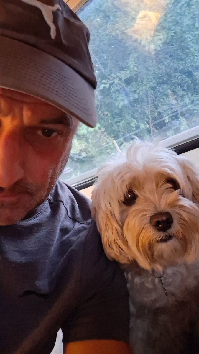 People fear AI, but it has nothing on DI (Dog Intelligence) #dogsitting🐶 #ai #DogLovers