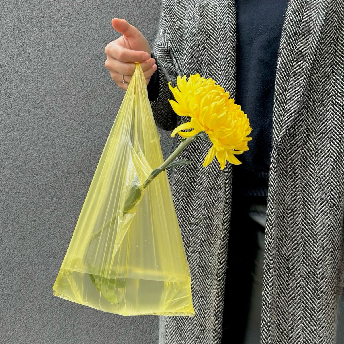 poetical photos. (@poeticalphotos) on Twitter photo 