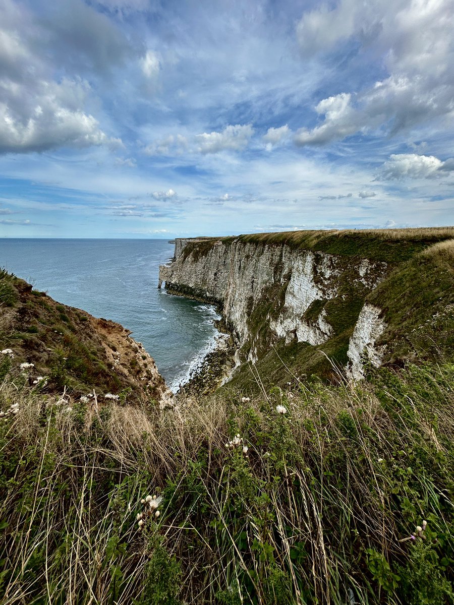 The ever-magnificent <a href="/Bempton_Cliffs/">RSPB Bempton Cliffs</a> this evening. Gannets galore.