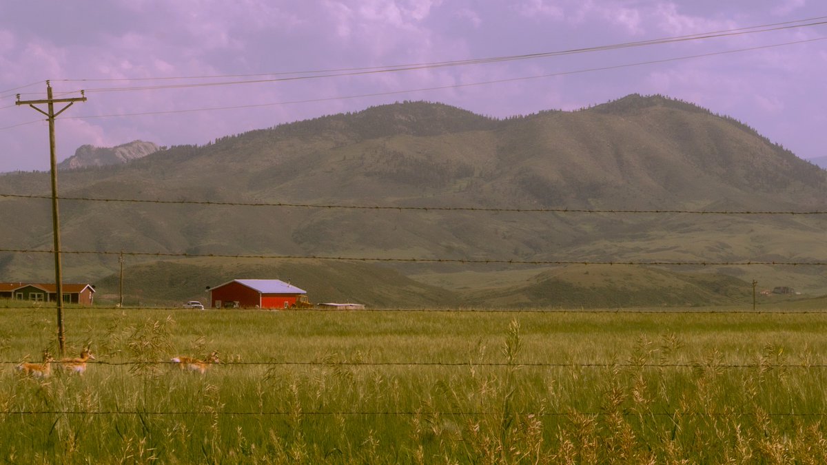 alongside of the road