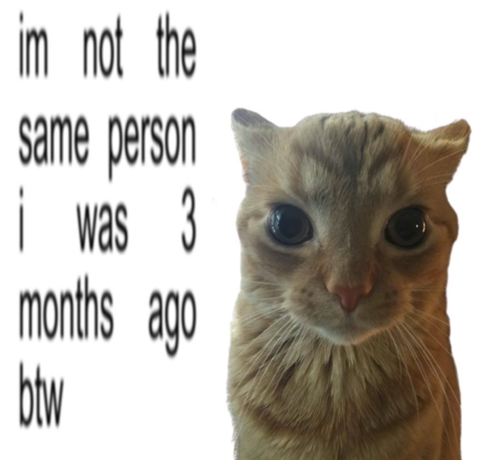 literallymecats's tweet image. 