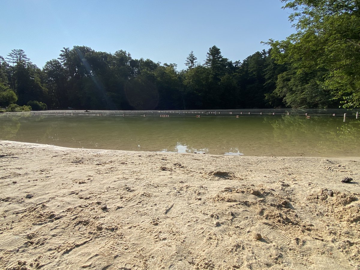 Beautiful swim at Fuller Lake in Pine Grove State Forest in PA.