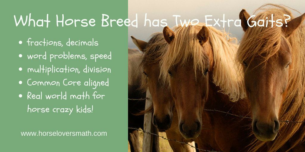 In addition to the gaits which all horses show (walk, trot, canter), Icelandic horses have two extra gaits. Young #horselovers learn about these special gaits and how championships are scored. buff.ly/ecsQyQI #horses #homeschool #unschooling #STEM #mathforkids #equestrian