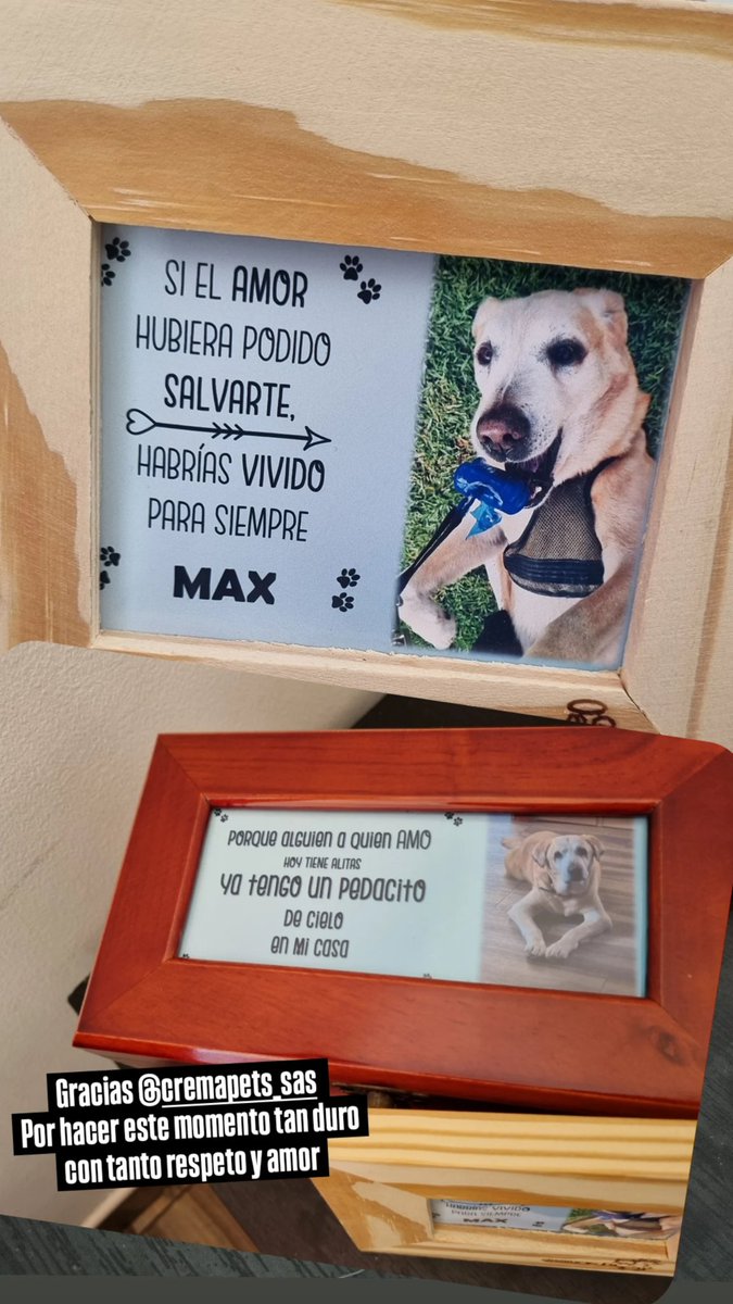 Ann Machuka tweet media