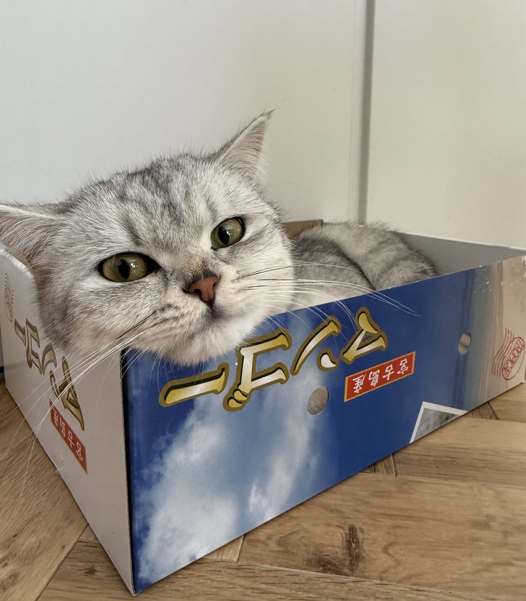 すぐ勝手なことをする