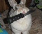 hitmewurbstshot's tweet photo. Llega con @ONESIZEPYM y le entrega este amiguito, es de Brenda.

───¡Hey, Hank!, ¿sabes?, como el resto estamos algo ocupados con lo de Greenie y eso, incluyéndome, no puedo cuidar a 𝗨𝗹𝘁𝗿𝗼𝗻 Jr. ahora, ¿podría quedarse contigo?, no será mucho tiempo, promise. https://t.co/5DcOCaga3O