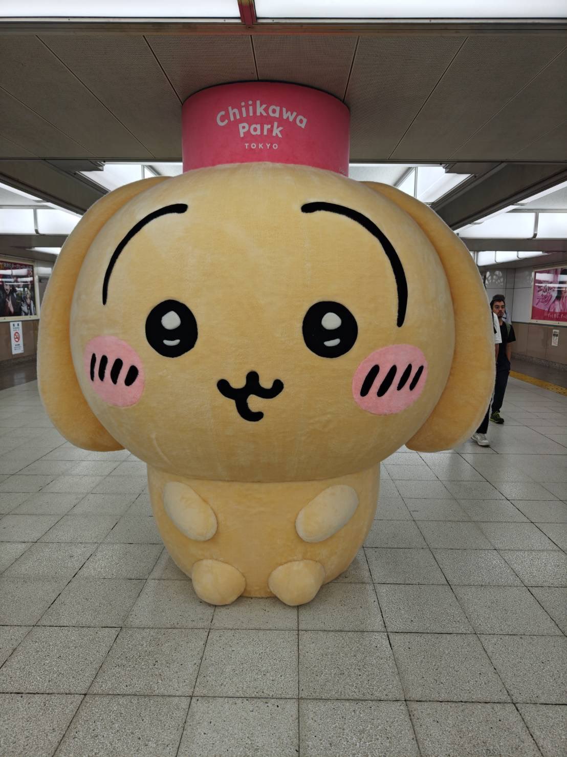 プリティーオールフレンズ 集合 マルチクロス プリティーオールフレンズ 集合 マルチクロス はる様 プリティー