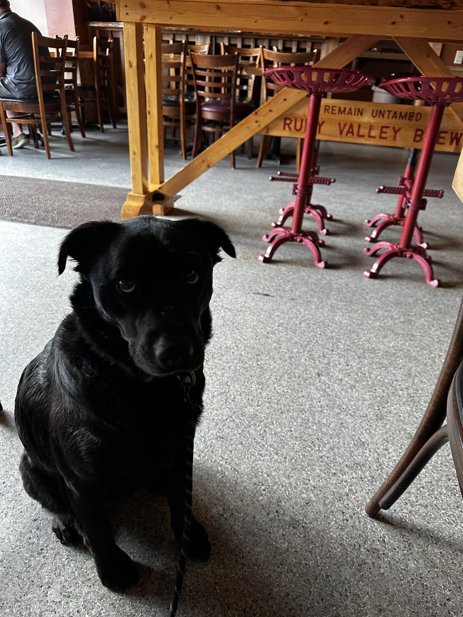 It’s been the best day exploring southwest Montana. Big Hole Valley. Ruby Valley. Dillon. Bannack. Everywhere we went was such a joy! Living in Montana is truly the best.