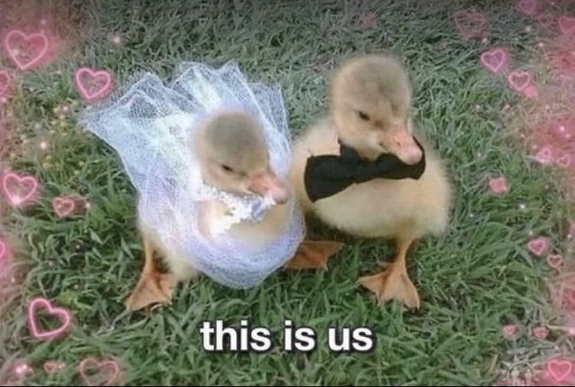 ♡ (@astralbaes) on Twitter photo 