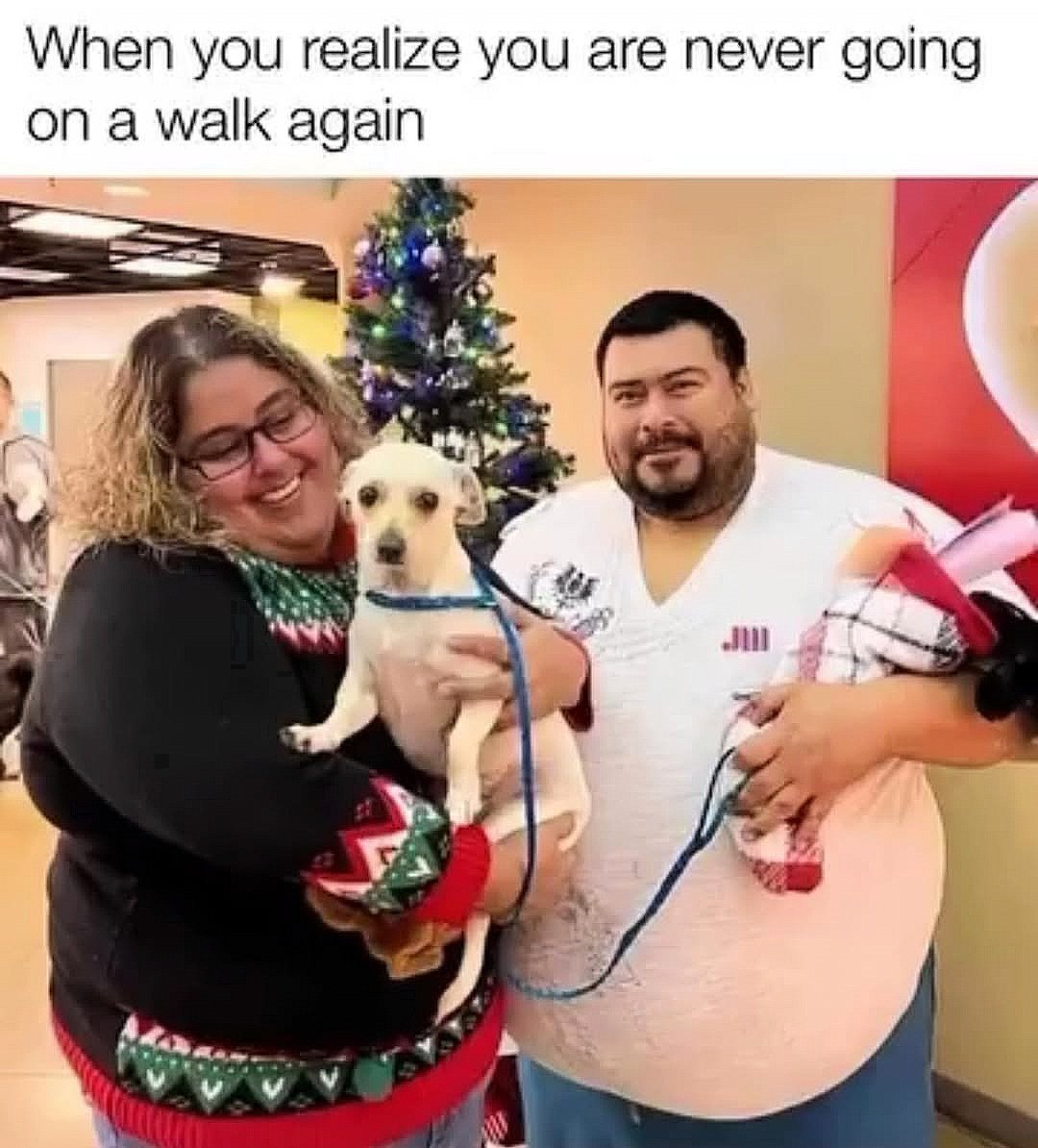 PlanetOfMemes's tweet photo. Poor little doggo. https://t.co/ykdMQ57Ke5