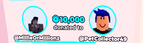 Pet tweet media