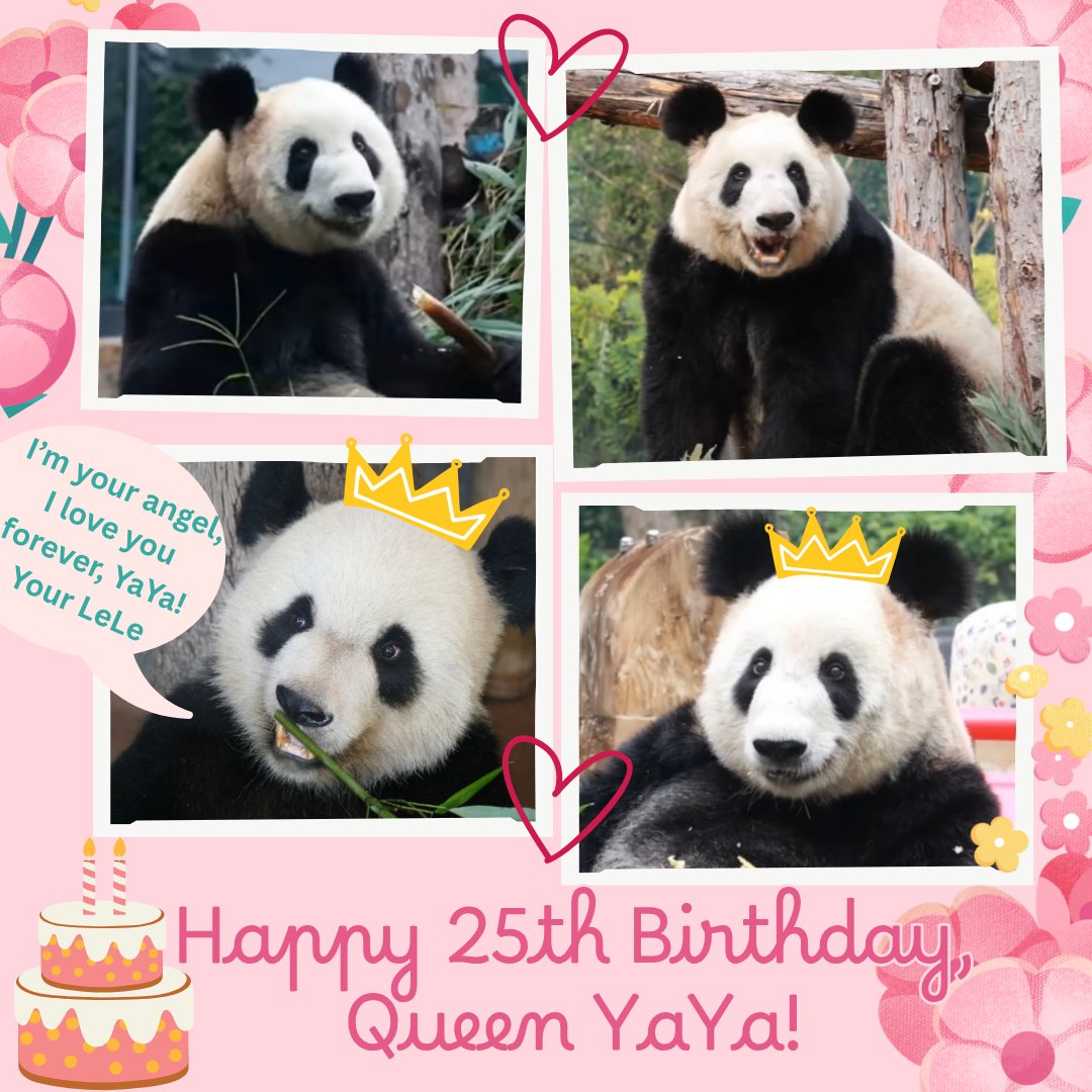 Through #YaYa 's beautiful smile, we can see that #LeLe is always with her, blessing her and protecting her! Our angel LeLe is happy in Heaven celebrating her birthday with us! Happy birthday, Queen YaYa! May you live a very long, blessed, healthy and happy life! We love you!