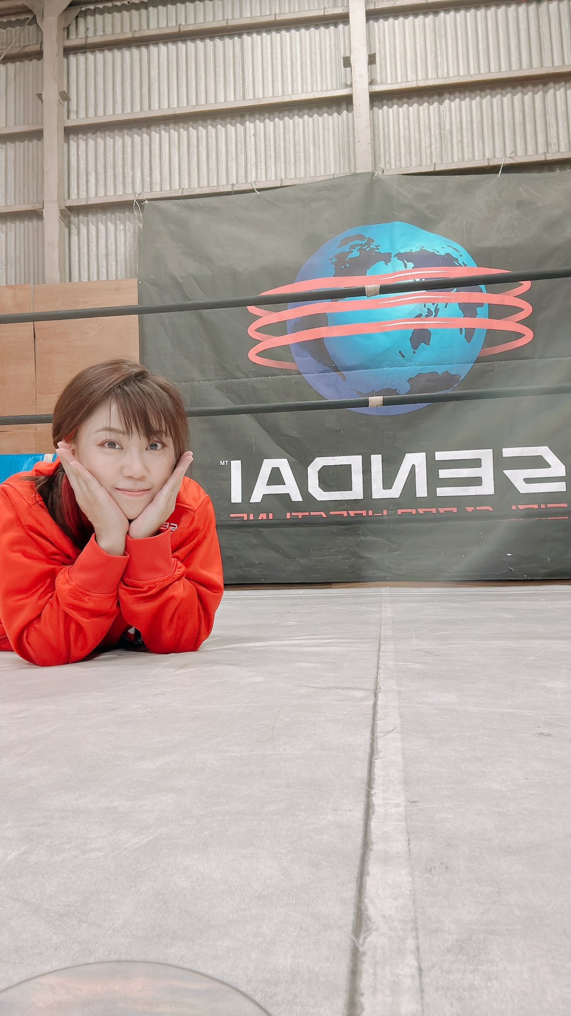 みゆきちゃんページ Amazon.co.jp: セキグチ(Sekiguchi) ハイジ×モンチッチ