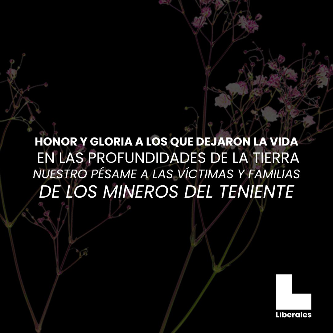 Desde el Partido Liberal lamentamos profundamente la muerte de los Mineros en El Teniente. Enviamos nuestras condolencias a sus familias y reafirmamos nuestro compromiso con las y los trabajadores en trabajos de alto riesgo como la minería.