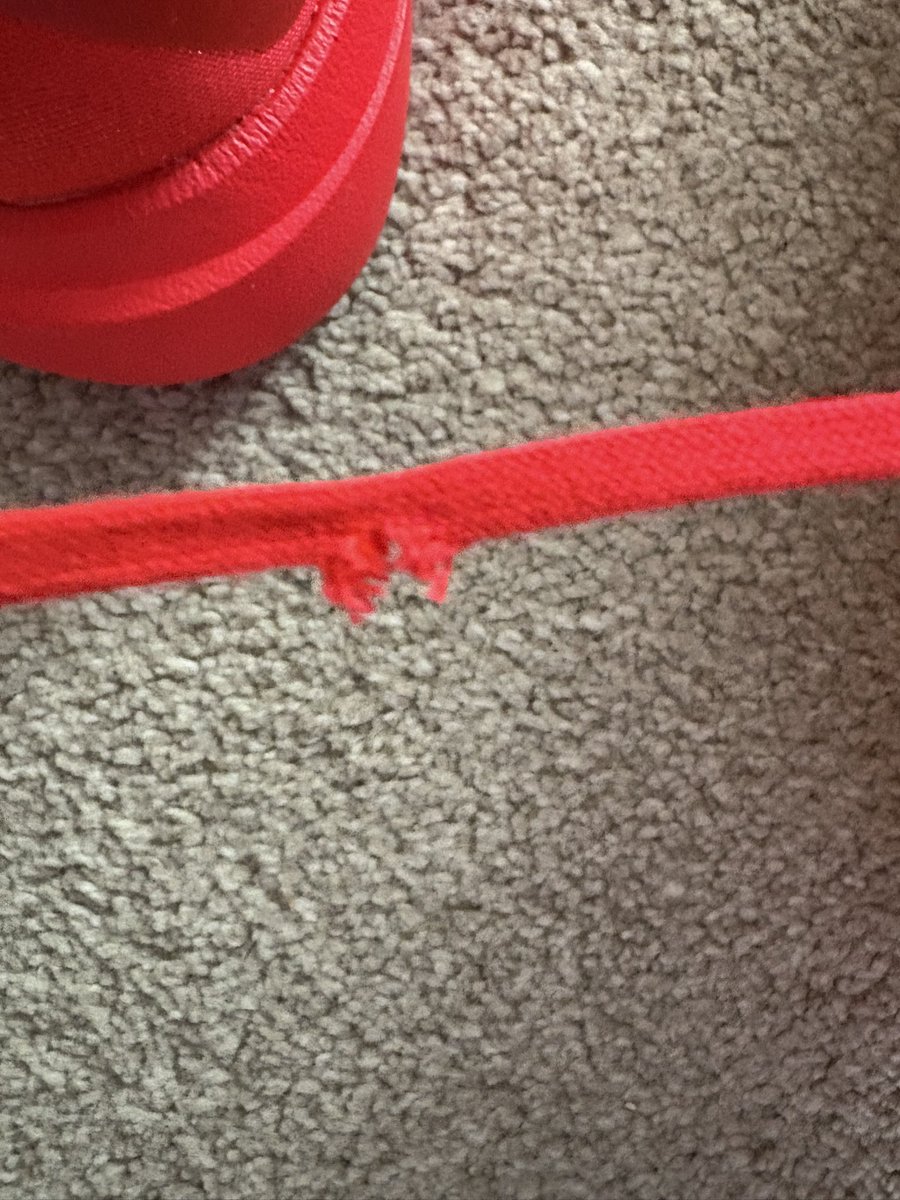 Daniel Alexander tweet media