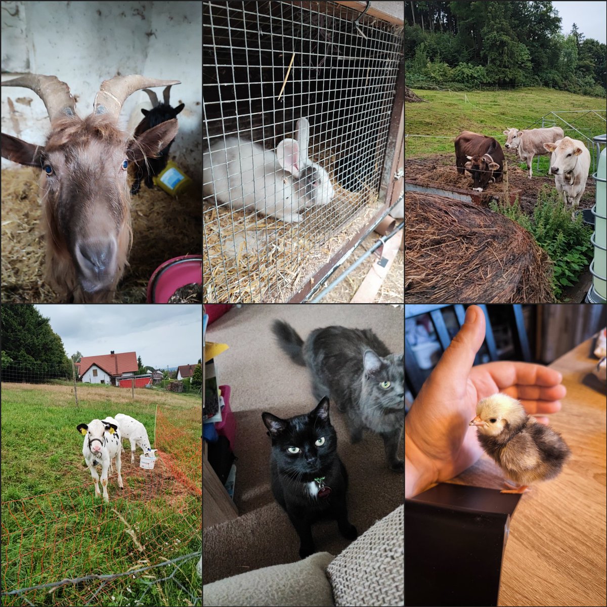 Ich bin jetzt Urlaubsvertretung für diese illustre Truppe. Was soll schon passieren? 🫠