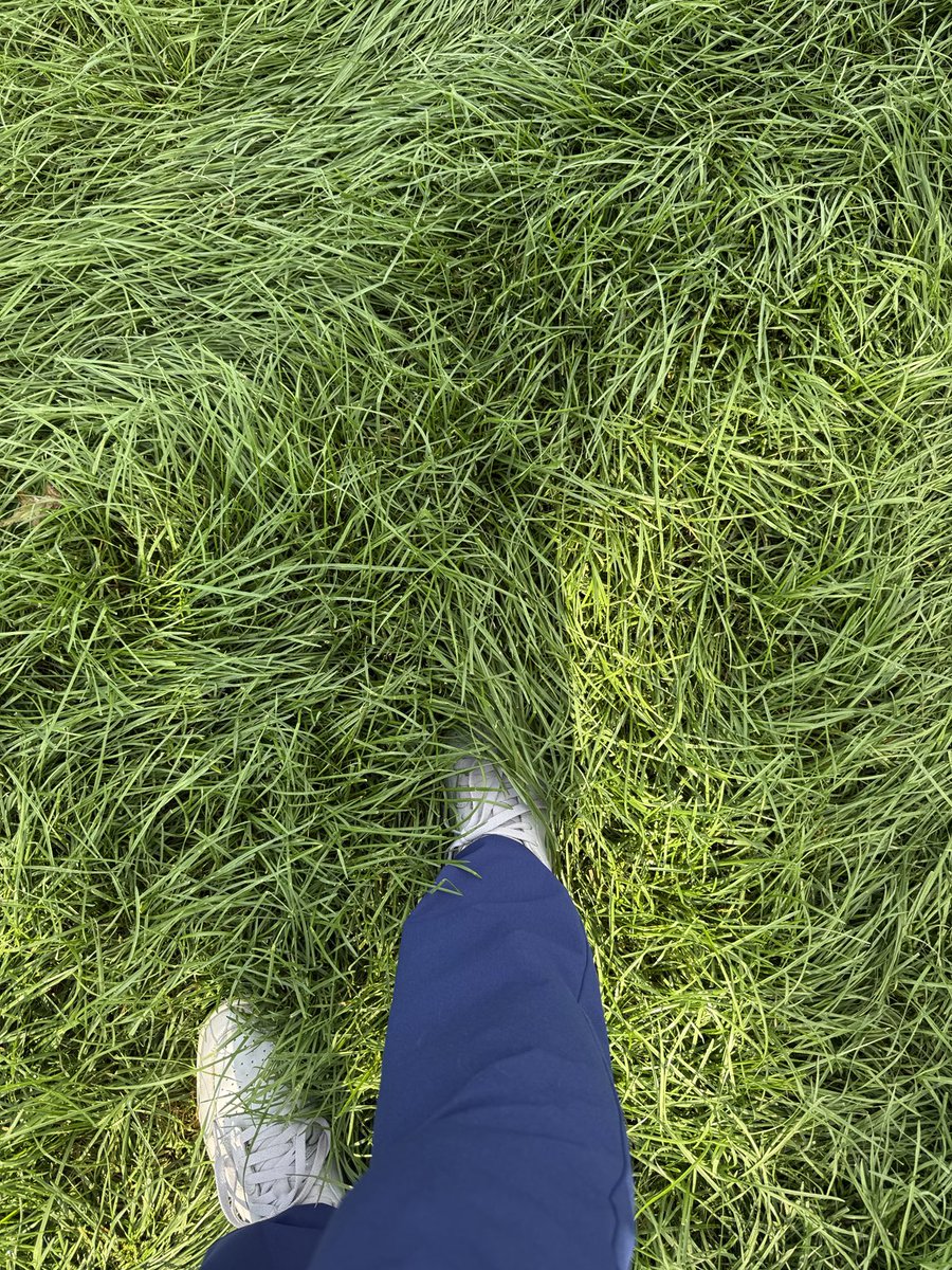 Donald Cross tweet media