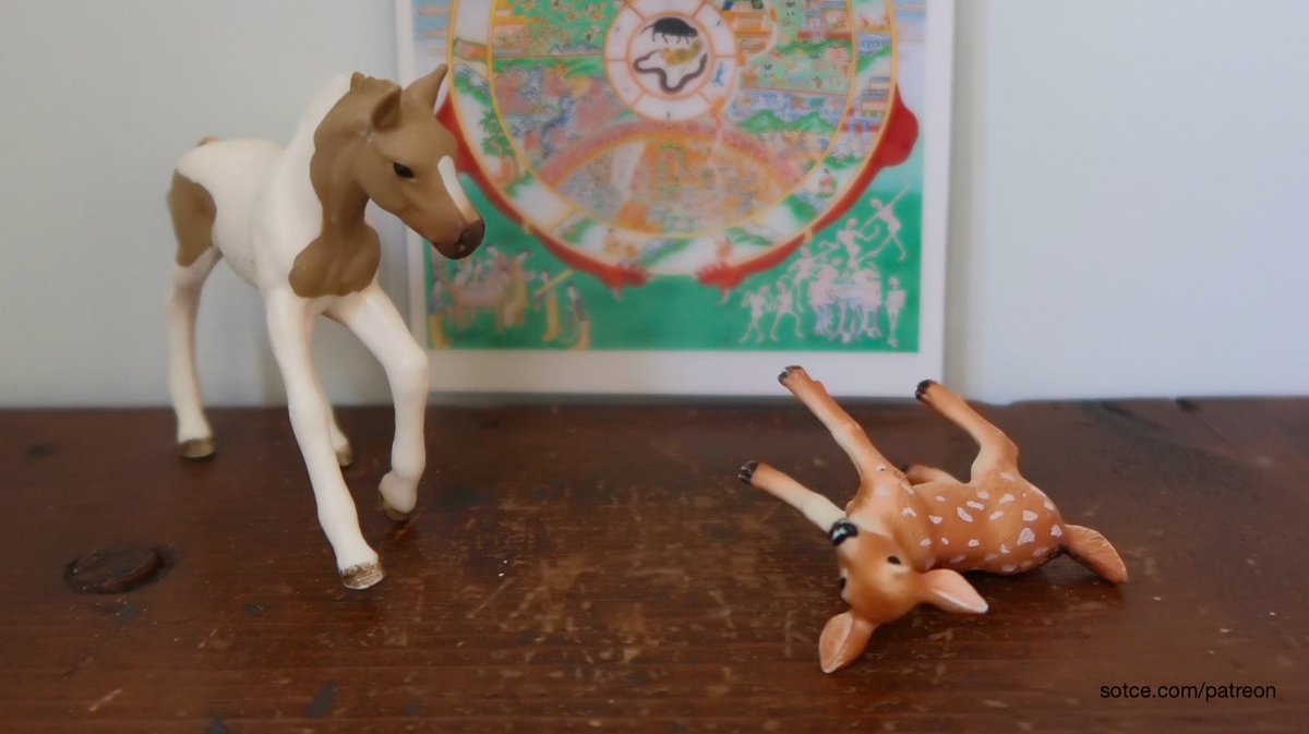 the sotce method tweet media