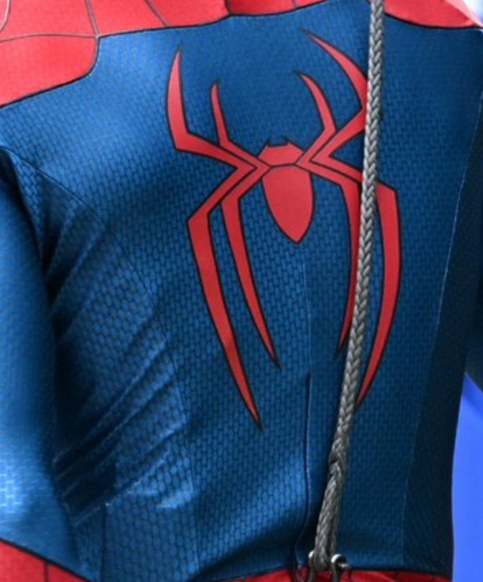 La araña en la parte de atrás tiene un borde negro ¿Qué les parece a ustedes? 🤔
