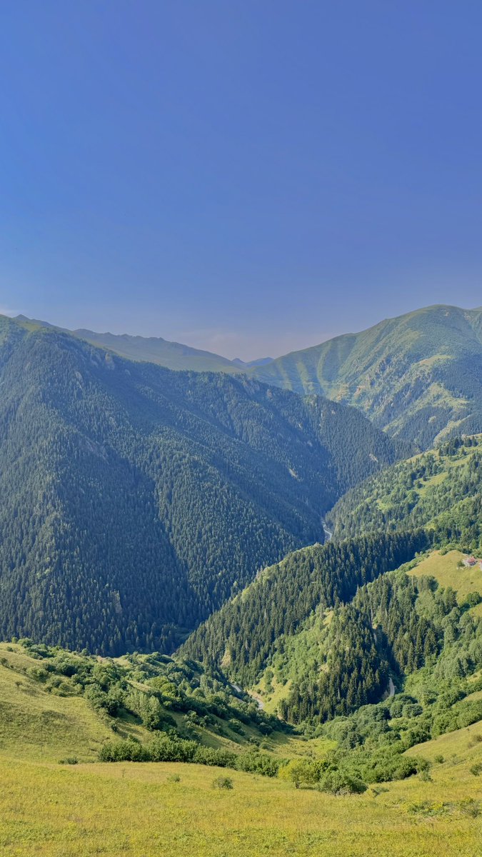 Ebrarrk61's tweet photo. Yayla havası 💚 https://t.co/r41oOiBSrR