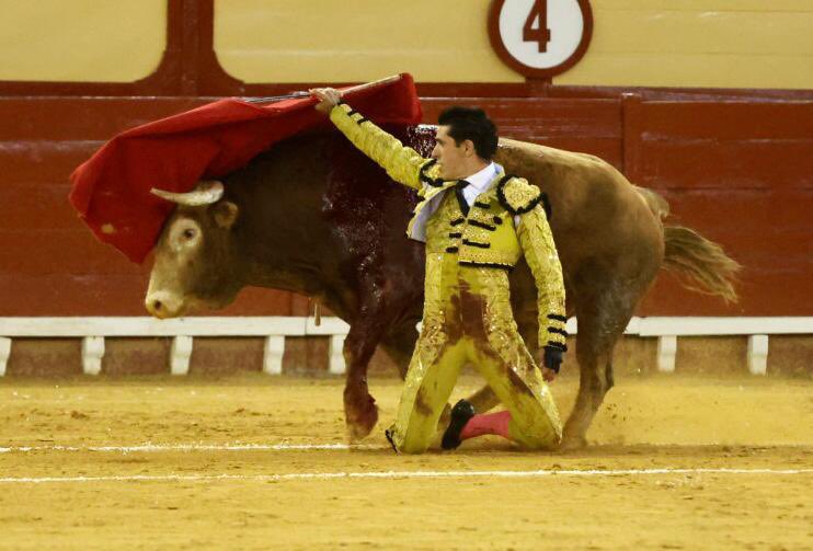 Portal Taurino (@portaltaurino) on Twitter photo El Puerto de Santa María <a href="/CircuitosToros/">Circuitos Taurinos</a> 5° de El Freixo un buen toro de vuelta para una faena completa y entregada de <a href="/aletalavante/">Alejandro Talavante</a> que remató de estocada y cortó las dos orejas <a href="/portaltaurino/">Portal Taurino</a> El Puerto de Santa María <a href="/CircuitosToros/">Circuitos Taurinos</a> 5° de El Freixo un buen toro de vuelta para una faena completa y entregada de <a href="/aletalavante/">Alejandro Talavante</a> que remató de estocada y cortó las dos orejas <a href="/portaltaurino/">Portal Taurino</a>